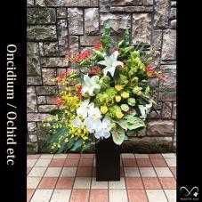 1045 胡蝶蘭・オンシジューム トールアレンジ